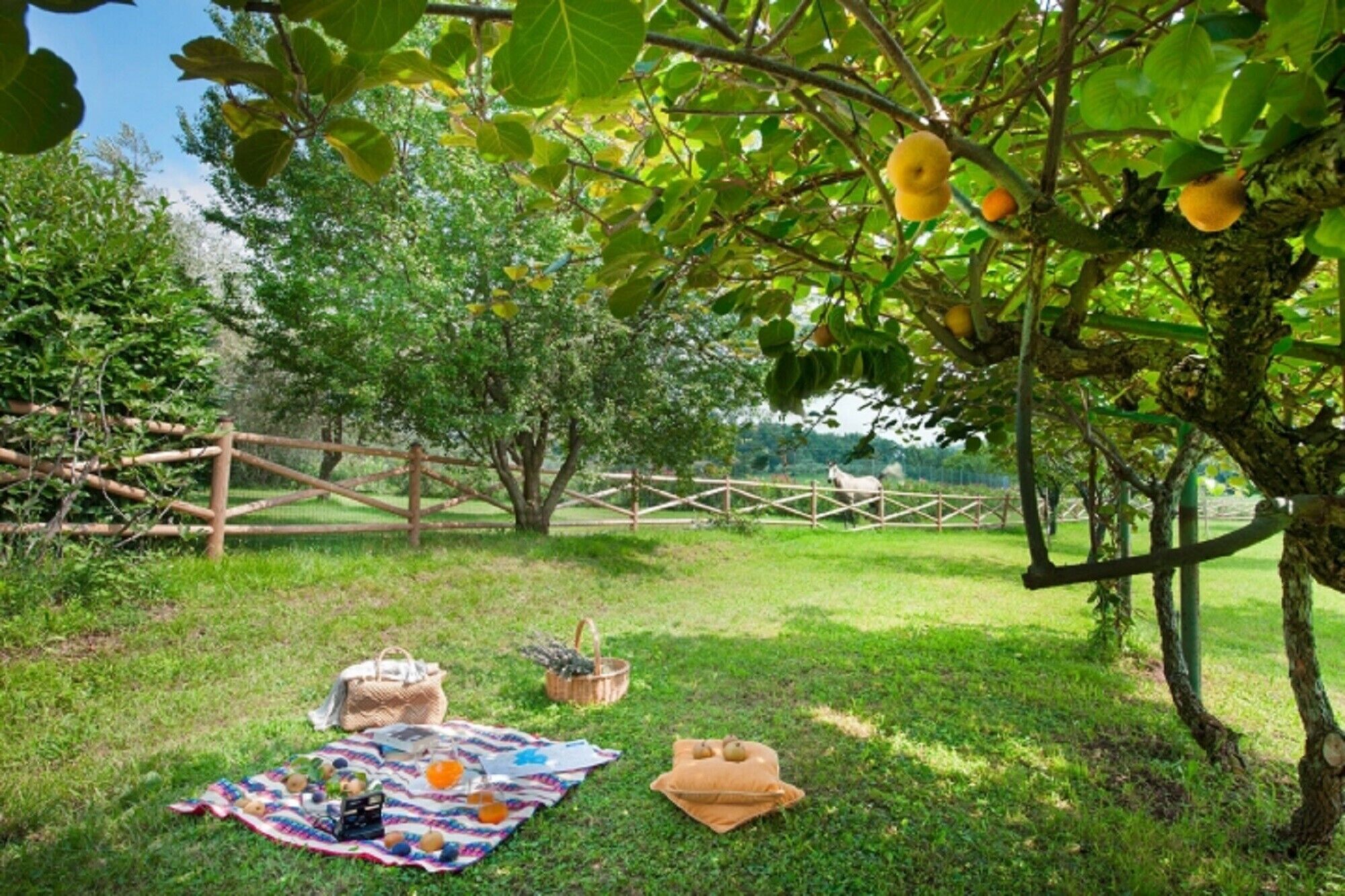 Parco della struttura