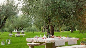 Area pranzo all'aperto con tavoli e panche in pietra, circondata da alberi di olivo.