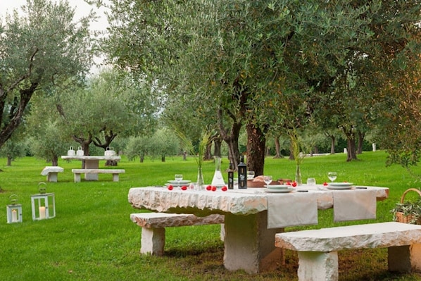 Un espace de restauration en plein air avec des tables et des bancs en pierre, entouré d’oliviers.
