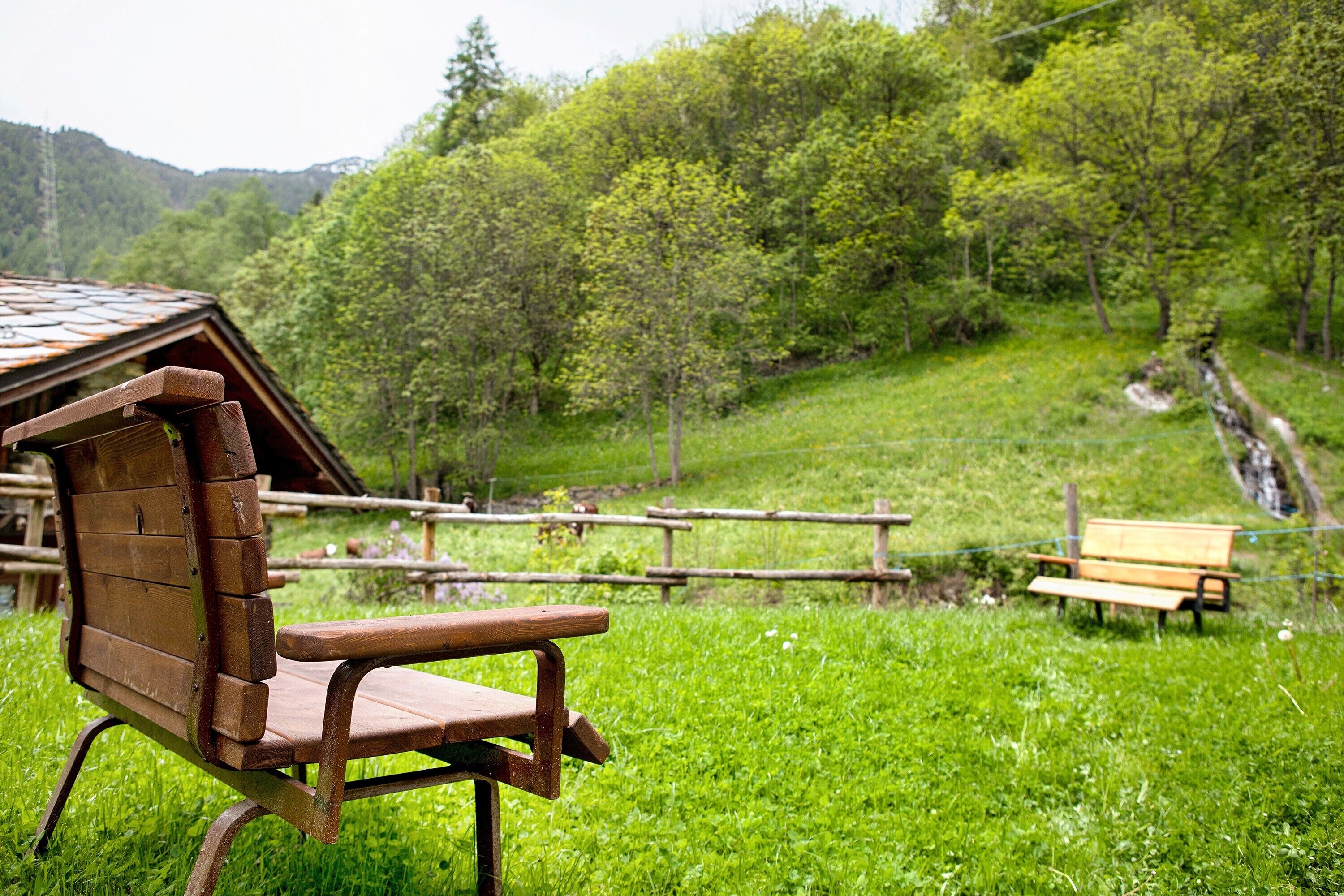 A wooden bench in a grassy area with a wooden structure in the background.