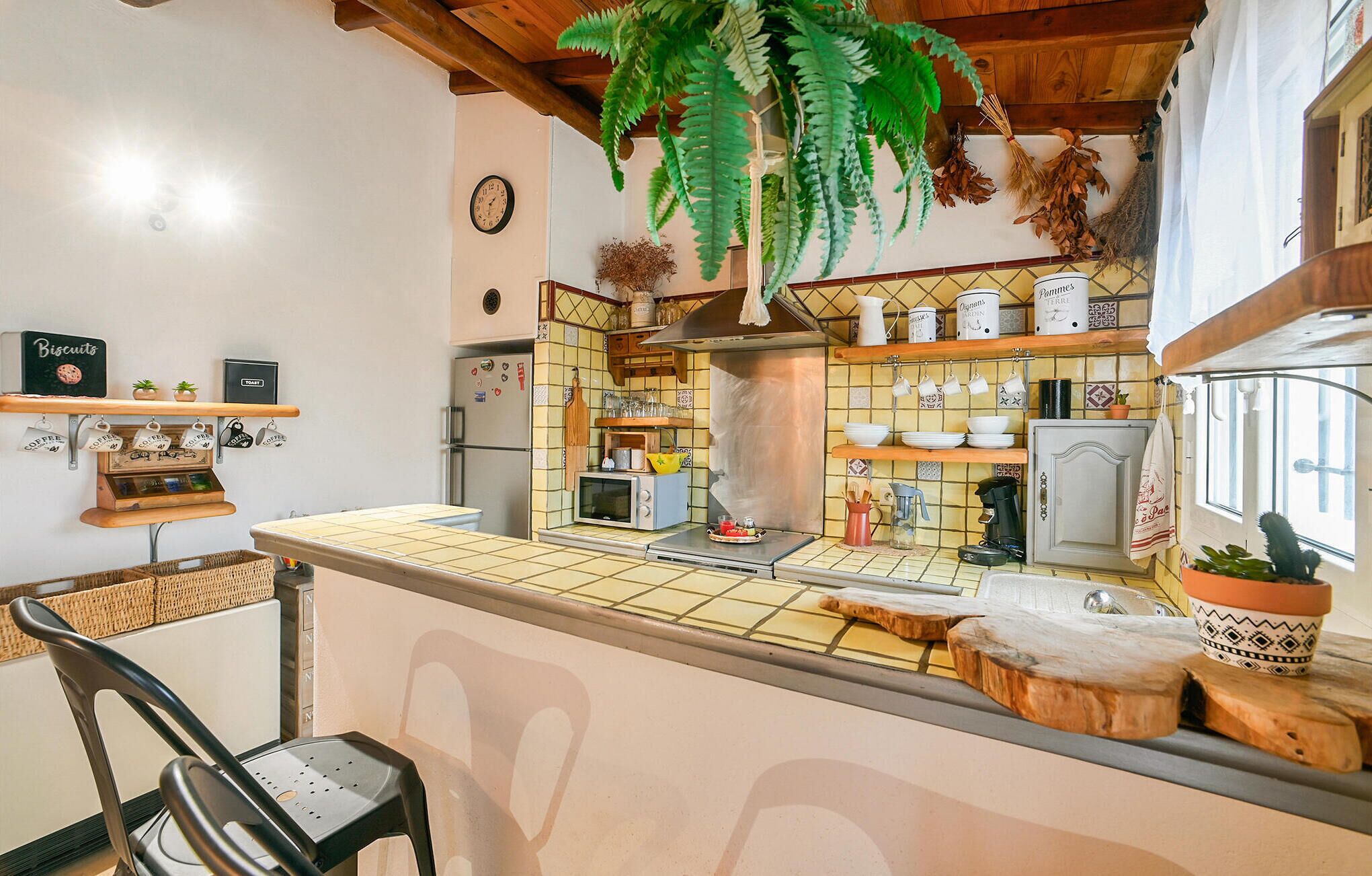 A kitchen with a tiled backsplash, wooden shelves, a hanging plant, and a coffee machine.