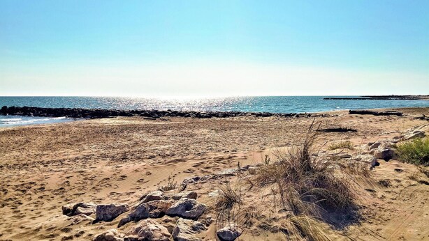 Strand