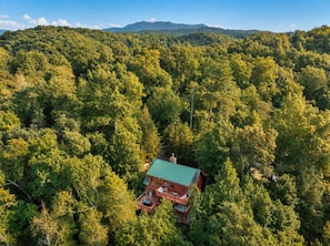 A cabin surrounded by dense forest with a view of distant mountains. - Free Dollywood Tix/Dog Friendly/Gameroom/HotTub/ (Sevierville)