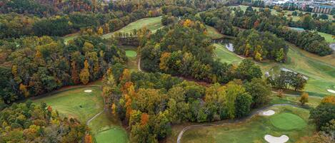 Vista aérea de un campo de golf con múltiples greens, fairways y búnkeres de arena, rodeado de un bosque denso y un pueblo pequeño al fondo.