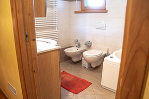 Shower, hair dryer, bidet