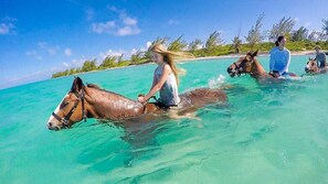 A person riding a horse through clear turquoise water, with a beach and vegetation in the background.