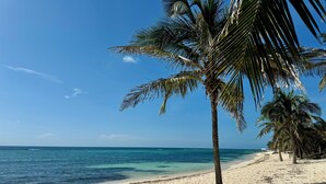 A beach with clear blue water, sandy shore, and palm trees.