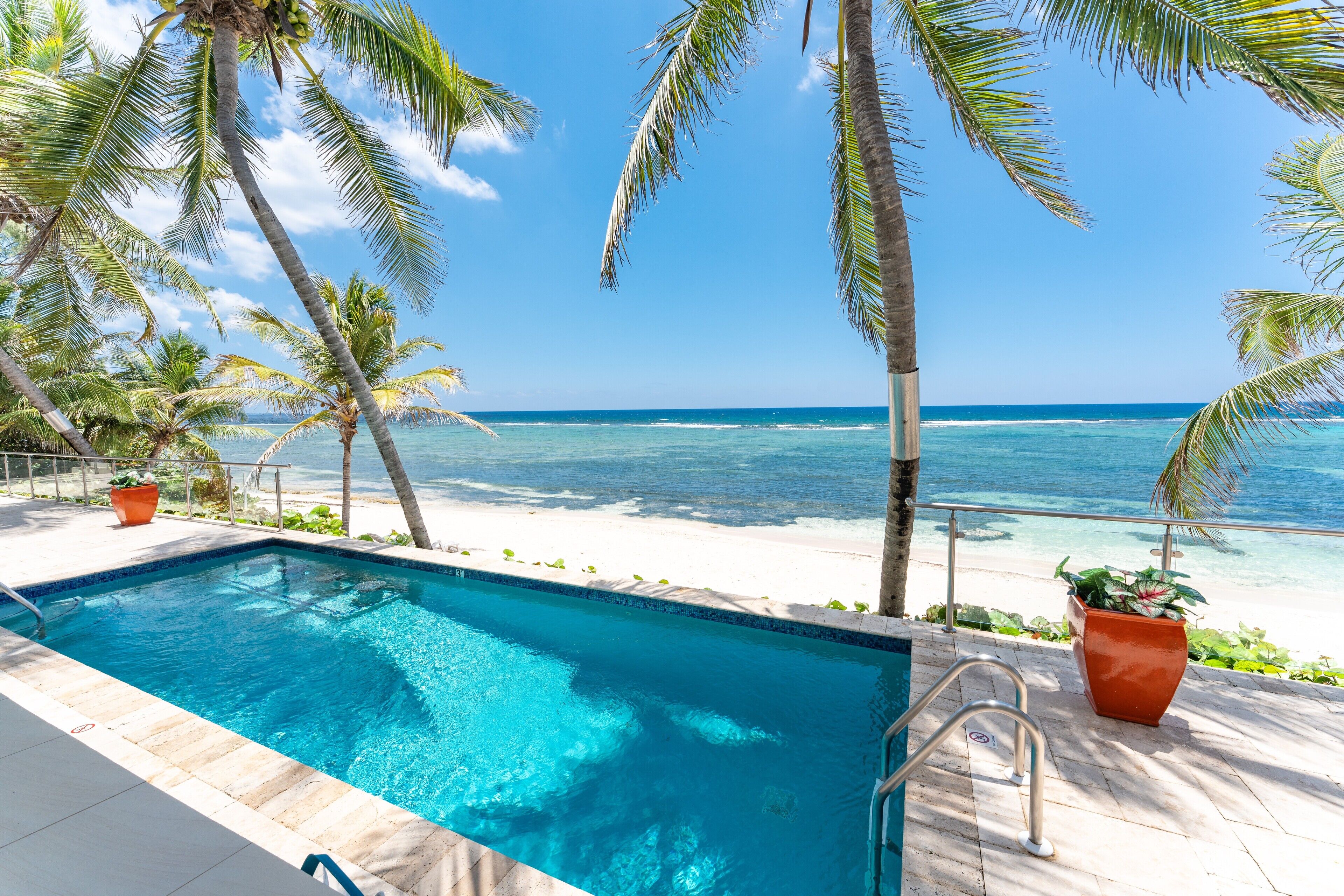 A swimming pool with a view of the ocean and palm trees.