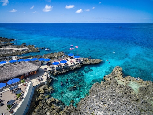 Breathtaking Ocean Front Sea Palm Villa #3