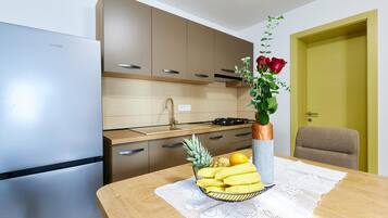 Fridge, oven, stovetop, dishwasher
