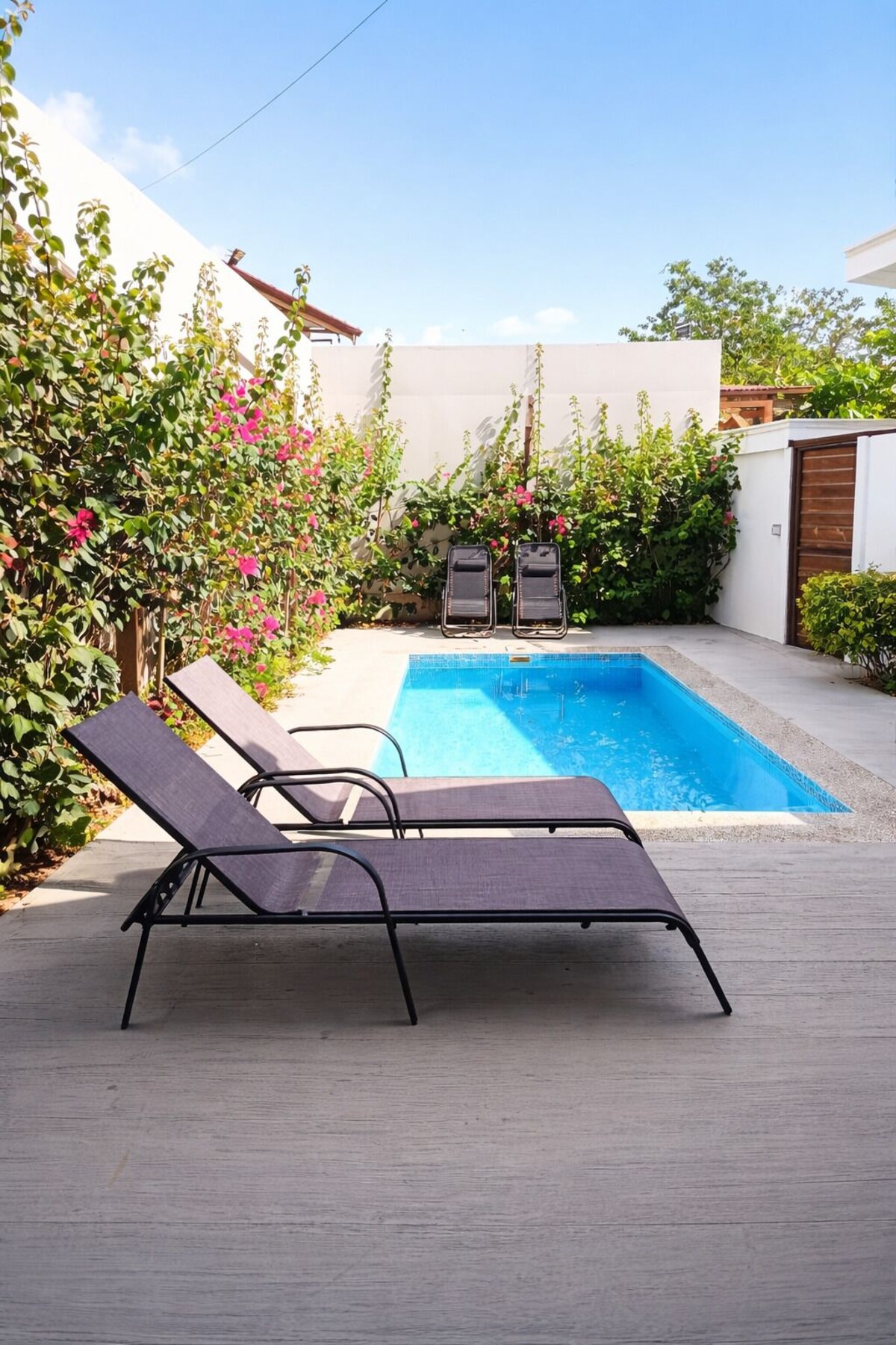 Image de profil de l’hôte