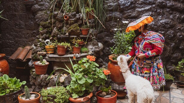 A person in traditional attire tending to a variety of potted plants in a stone-walled garden. - Hostal International House Cusco (Cusco)