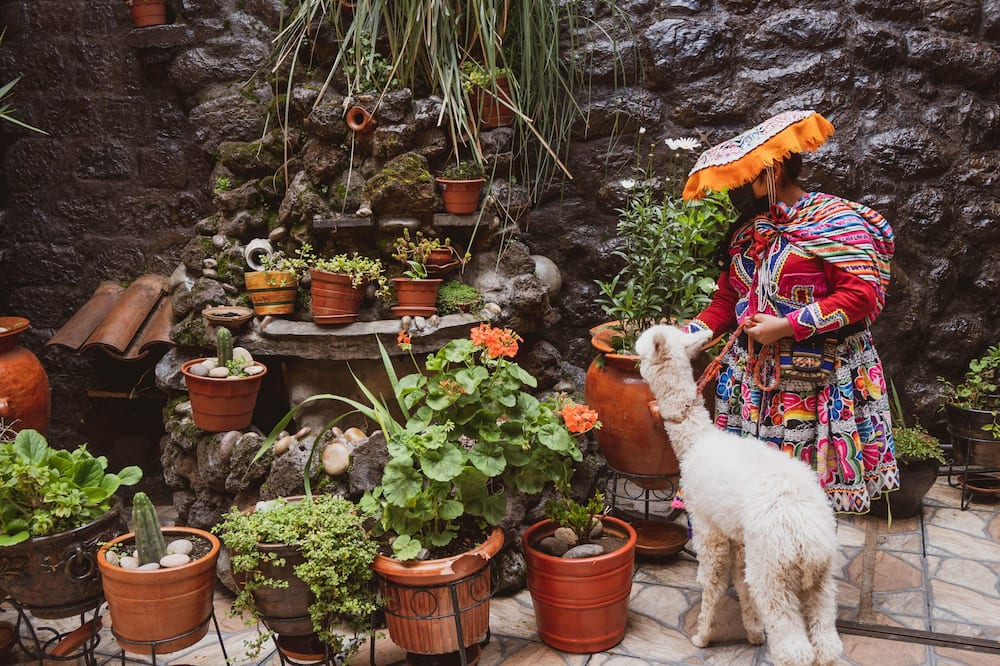 Hostal International House Cusco