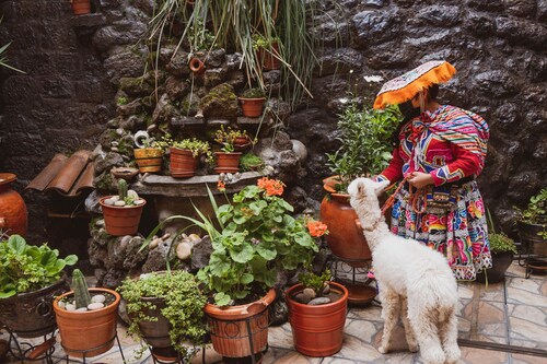 Hostal International House Cusco