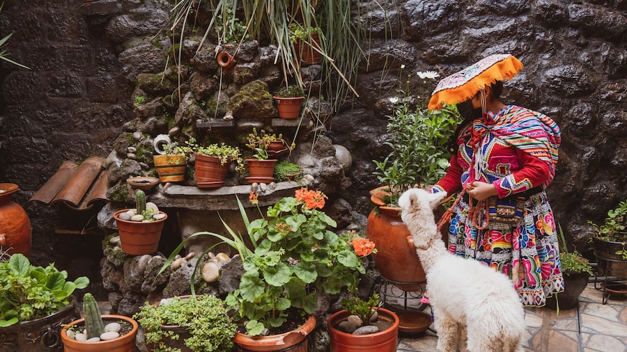 Hostal International House Cusco