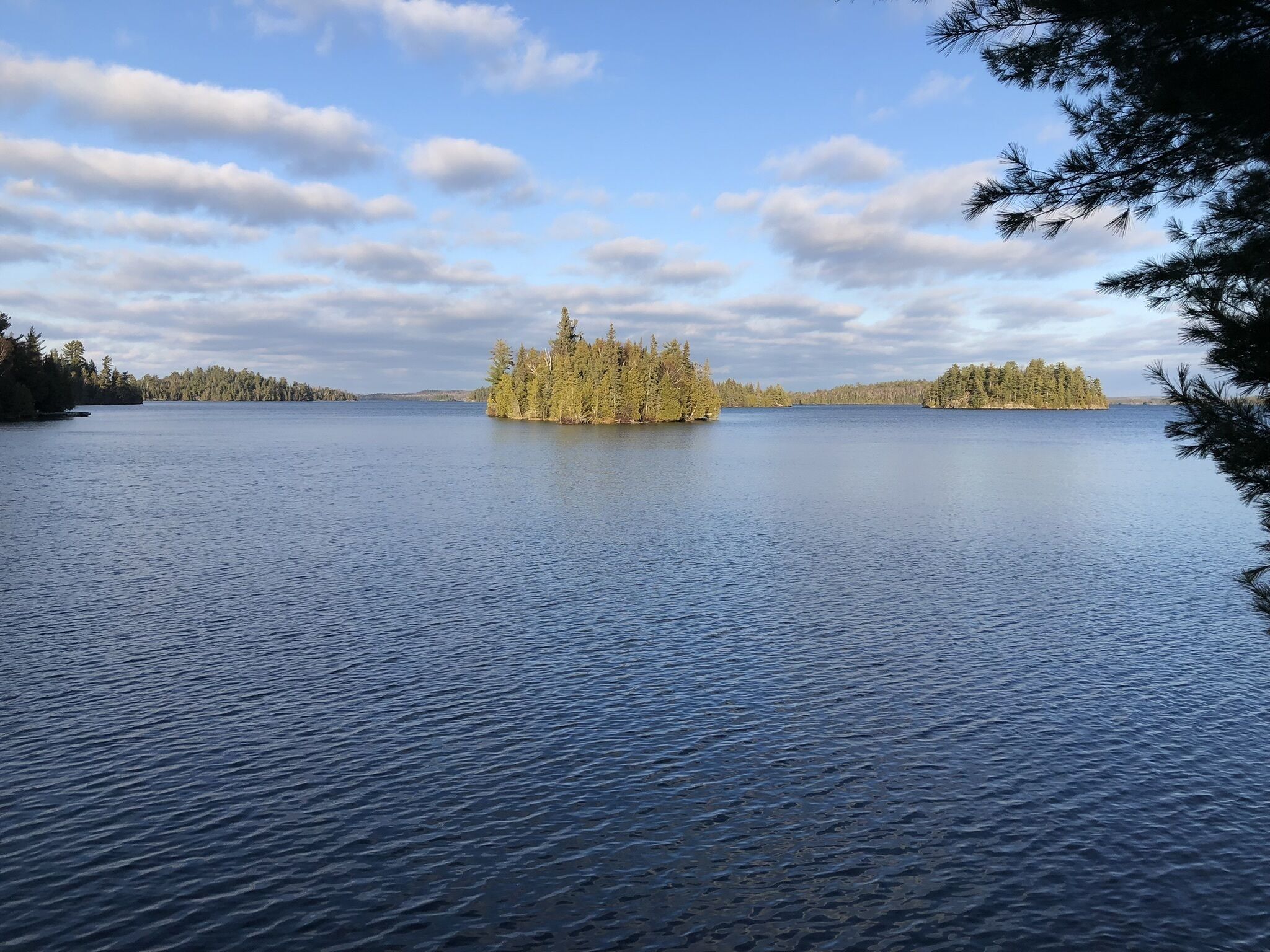 En stilla sjö med en liten ö full av träd i mitten.