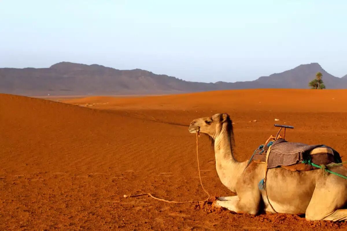 Photo - Riad La Fayette Bed & Breakfast