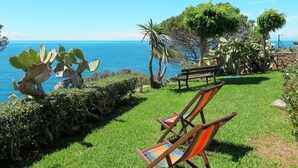 Un espacio al aire libre con césped, una banca, una escultura de cactus y vista al mar.