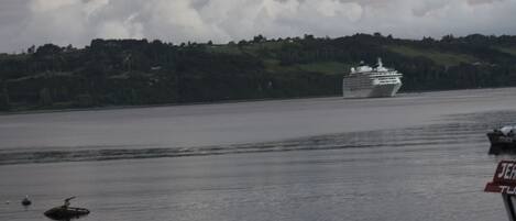 A cruise ship on a body of water with a forested hill in the background.