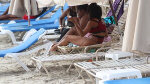 Une plage bordée de rangées de chaises longues et de parasols.