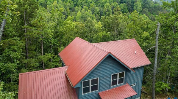 A house with a red roof and blue walls, surrounded by dense forest.