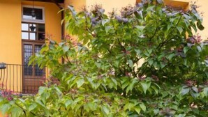 Un bâtiment à la façade jaune, doté d’une porte en bois et d’un balcon avec une rambarde en métal.
