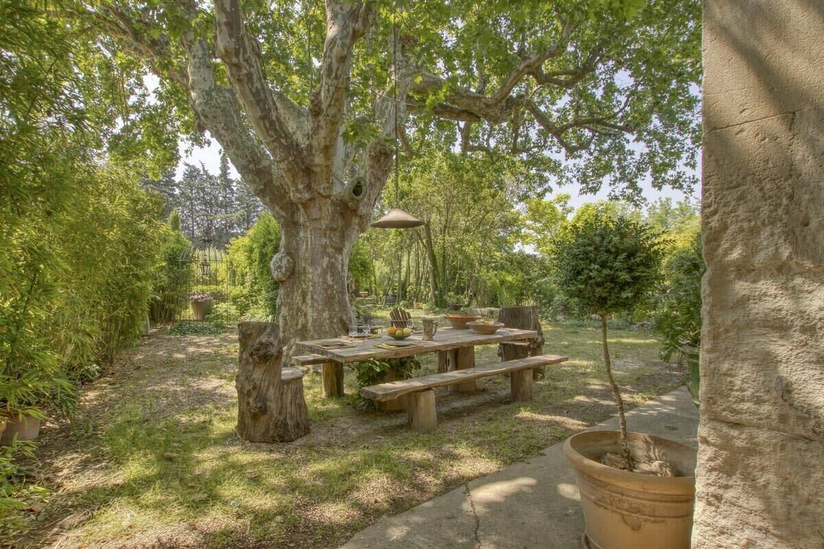 Un espace de restauration en plein air au style rustique, avec une table et des bancs en bois, entouré d’une végétation luxuriante et d’arbres.