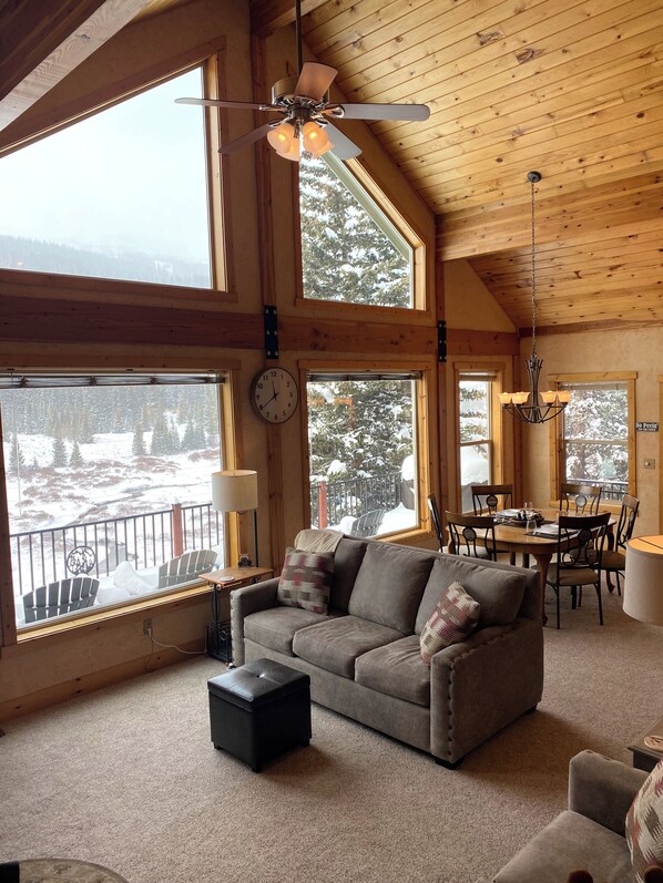 TV, fireplace, books, offices