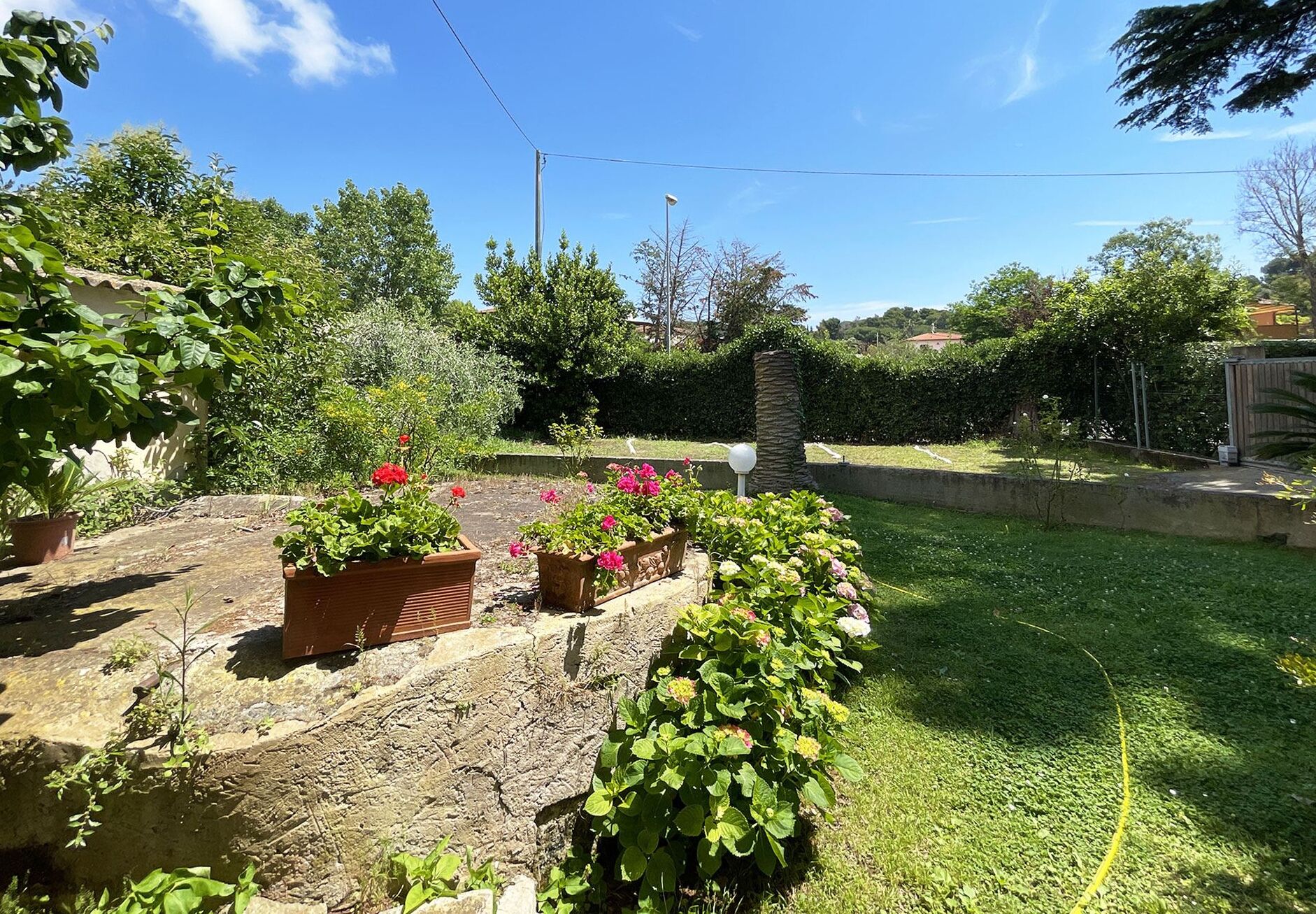 A garden with various plants and flowers, a stone pathway, and a grassy area.