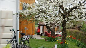 A garden with a bicycle, a wooden building, and a table with chairs.
