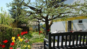Un jardin avec un banc, un arbre et un bâtiment dont le mur est jaune.