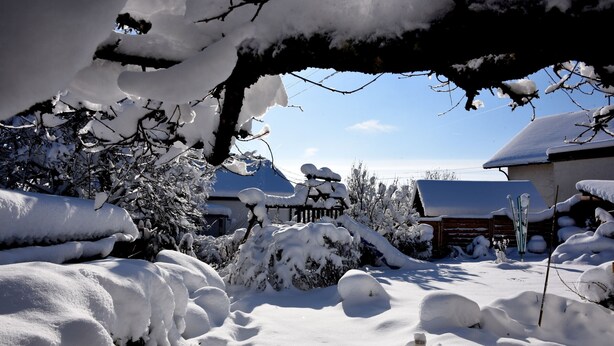 A snowy landscape with a wooden fence, snow-covered trees, and a building with a sloped roof.