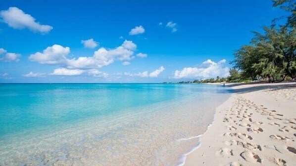 1 bedroom - Suite 2 Beach, Shuttle, Concierge, Garden, Cats (West Bay)