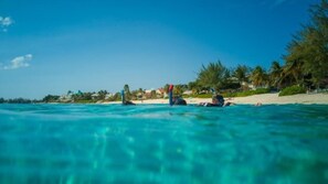 Exterior - Suite 2 Beach, Shuttle, Concierge, Garden, Cats (West Bay)