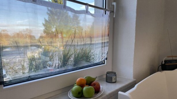 Una ventana con vistas a un área verde y árboles, un plato con manzanas y naranjas, y un recipiente pequeño en el alféizar.