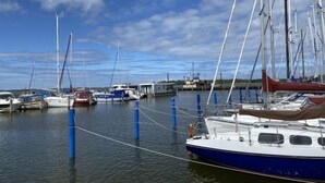 Un puerto deportivo con varios veleros amarrados, mostrando mástiles y aparejos.