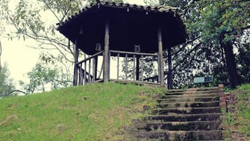 Ngoại thất