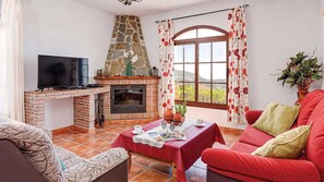 Televisión, chimenea y reproductor de DVD 
