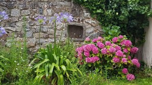 A stone wall with a small window, surrounded by lush greenery and flowering plants. - Penty Landromiou by Interhome (Crozon-Morgat)