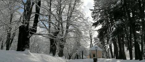 Enceinte de l’hébergement