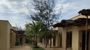 A courtyard with a gravel path, palm trees, and buildings with wooden pergolas. - Palm Cultural Village (Paje)