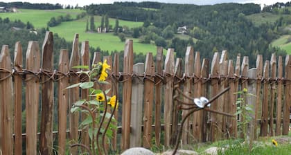 Zwischen Frischen WĂ€ldern, Saftigen Wiesen und Imposanten Bergen Liegt Unser Hof