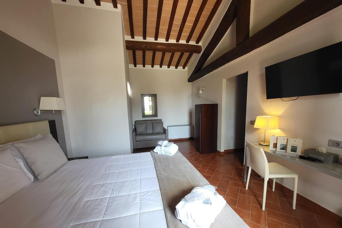 A hotel room with a large bed, a desk, a chair, a TV, and a mirror.