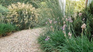 Un chemin de gravier traverse un jardin où l’on trouve différentes plantes et arbustes.