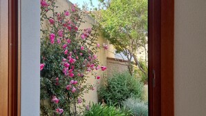 Une vue à travers une fenêtre à cadre en bois donnant sur un jardin où l’on aperçoit des rosiers roses, des arbustes verts et un palmier.