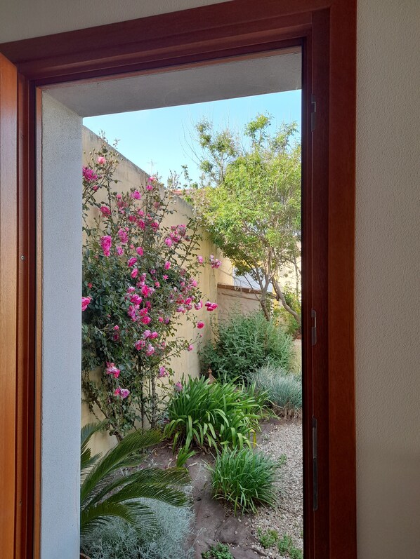 Dobbeltrom – superior, hageutsikt | Utsikt fra rommet