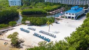 Une plage avec des chaises longues, un palmier et un bâtiment doté d’un toit bleu.