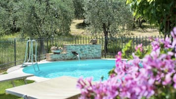 Seasonal outdoor pool, pool umbrellas, sun loungers