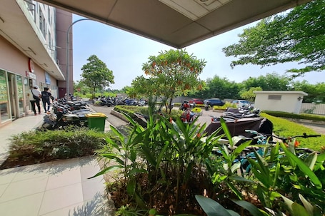 Jardín