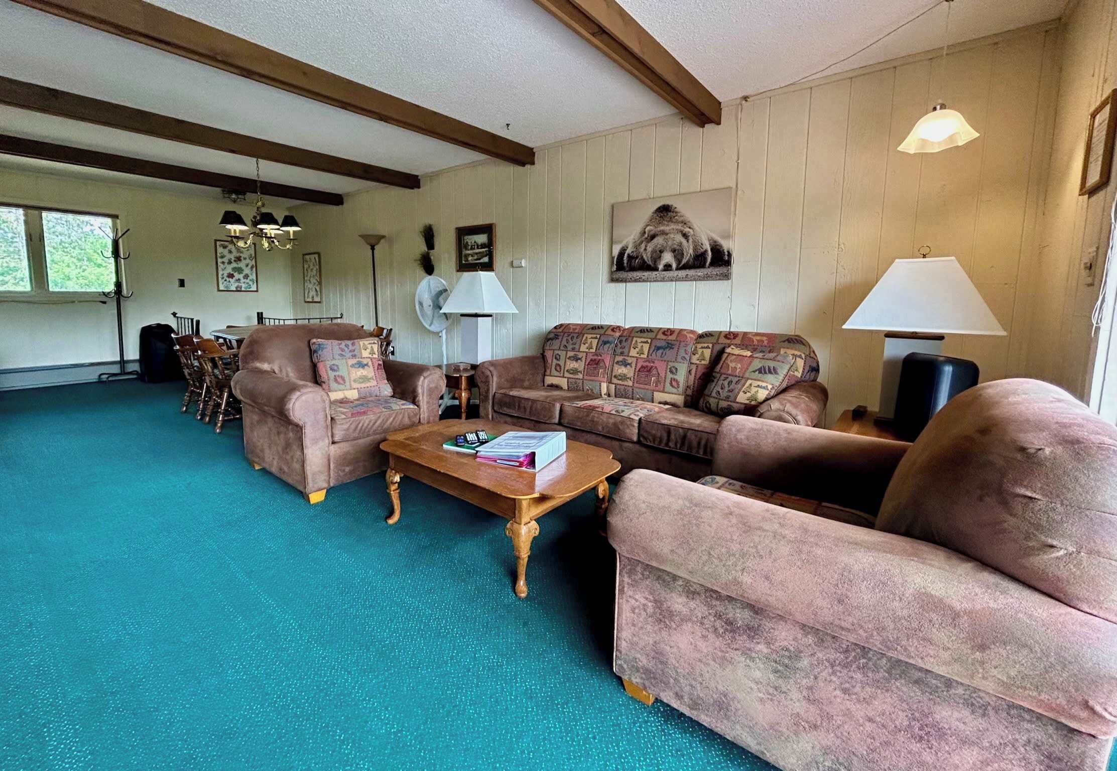 TV, fireplace, DVD player, books